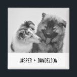 Simple, Modern Custom Pet or People Photo Magnet<br><div class="desc">Add your own photo and text to create a unique photo gift. This refrigerator magnet is ready to be customized with your photo and your own names or message in distressed black typewriter style lettering. The simple, modern black and white style looks great with black and white or color photos....</div>