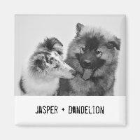 Simple, Modern Custom Pet or People Photo