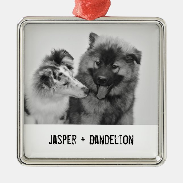 Simple, Modern Custom Pet or People Photo Metal Ornament (Front)