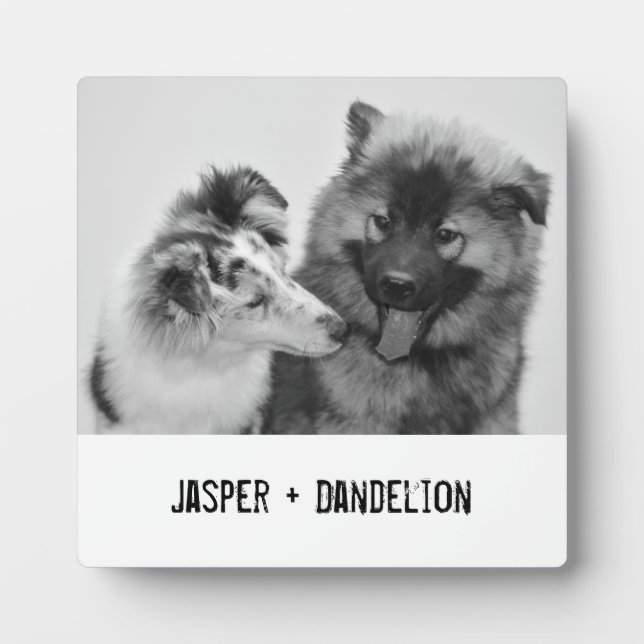 Simple, Modern Custom Pet or People Photo Plaque (Front)