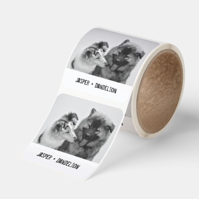 Simple, Modern Custom Pet or People Photo Square Sticker (Roll)