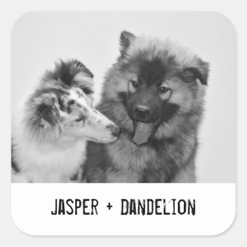 Simple Modern Custom Pet or People Photo Square Sticker