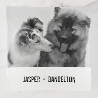 Simple, Modern Custom Pet or People Photo Trinket Tray