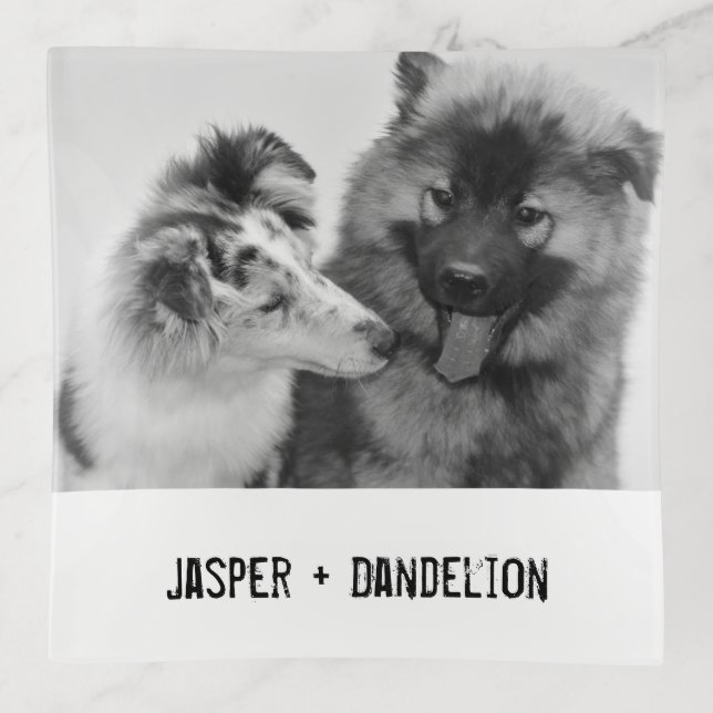 Simple, Modern Custom Pet or People Photo Trinket Tray (Front)