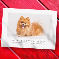 Simple Modern Custom Pet Photo Thanks Veterinarian