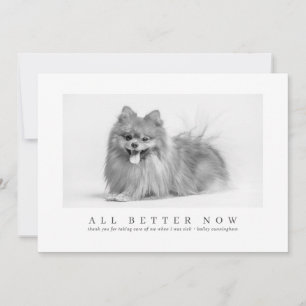 Simple Modern Custom Pet Photo Thanks Veterinarian Thank You Card