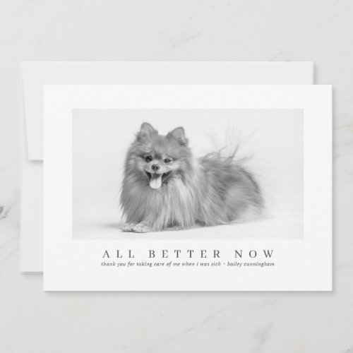 Simple Modern Custom Pet Photo Thanks Veterinarian Thank You Card