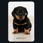 Simple Modern Full Photo Dog Pet | Black Magnet<br><div class="desc">Simply replace the photo with one of your own for a simple,  stylish magnet!  Text template included for a name or other custom text!</div>