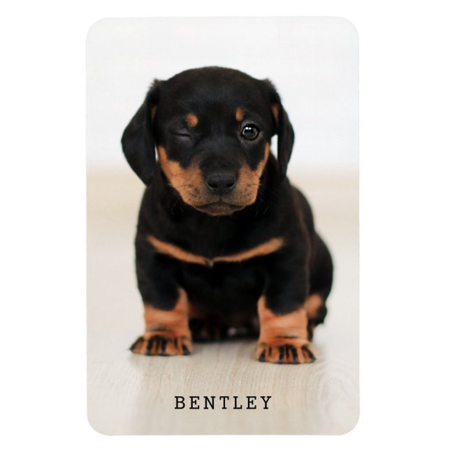 Simple Modern Full Photo Dog Pet | Black Magnet (Vertical)