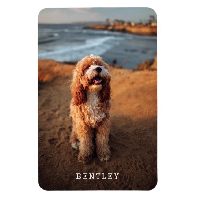 Simple Modern Full Photo Dog Pet | White Magnet (Vertical)