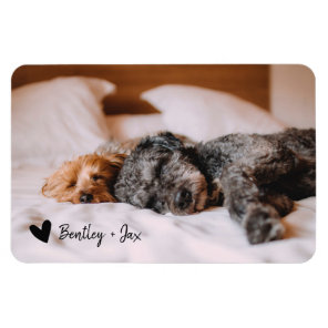 Simple Modern Full Photo Pet Dog | Horizontal Magnet