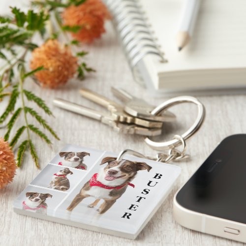 Simple Modern Pet Photo Collage Keychain
