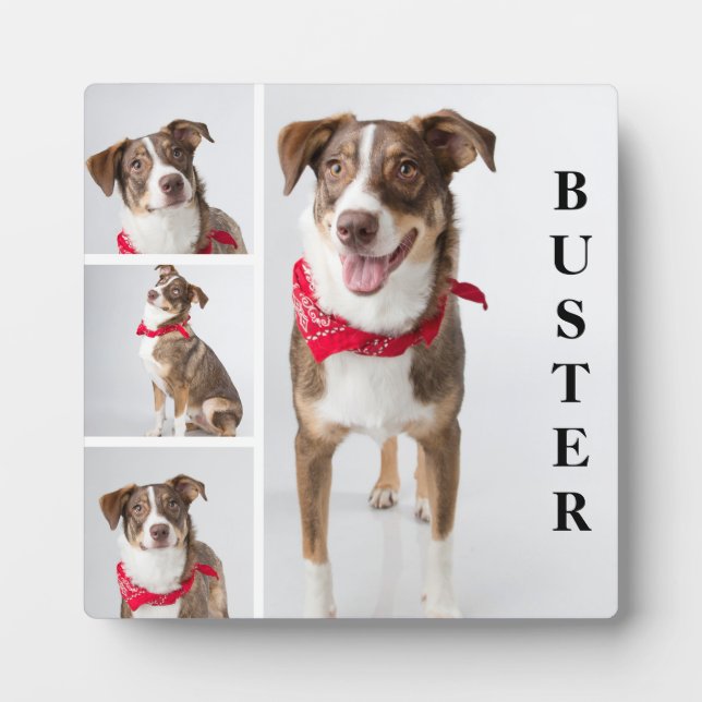 Simple Modern Pet Photo Collage Plaque (Front)