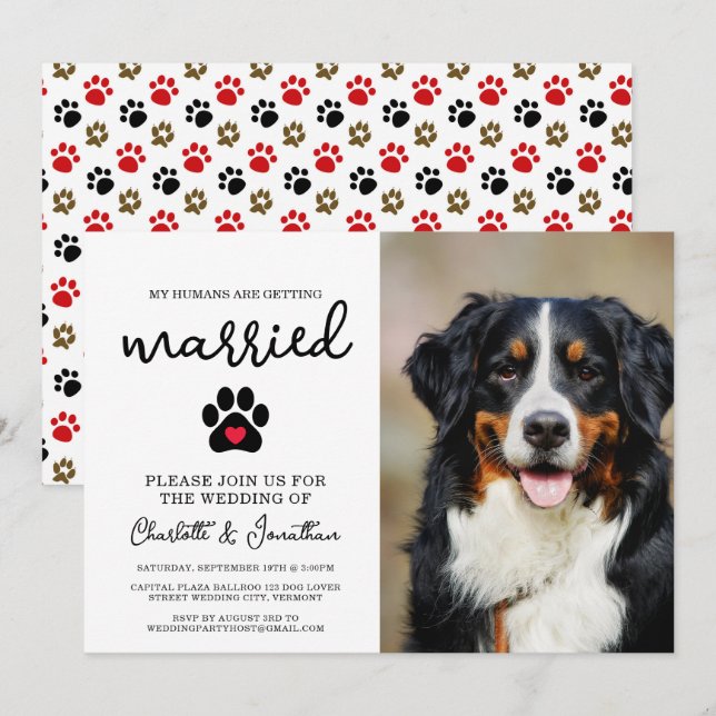 Simple Modern Photo Dog Lover Pet Wedding Invitation (Front/Back)