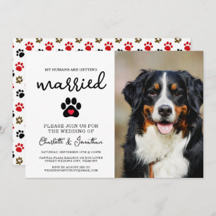 Simple Modern Photo Dog Lover Pet Wedding Invitation