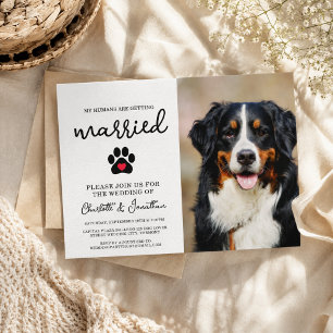 Simple Modern Photo Dog Lover Pet Wedding Invitation