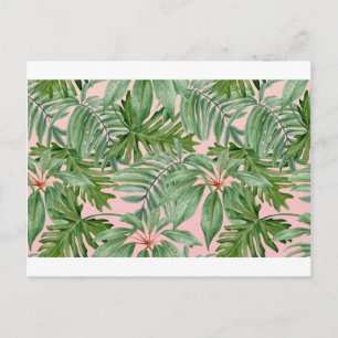 Simple Modern Pink Palm Leaf Tropical Floral Postcard