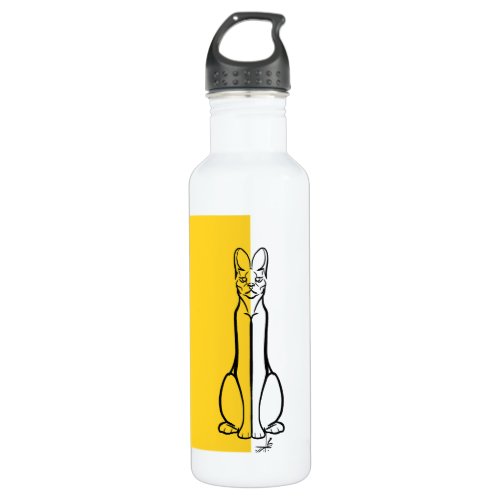 Simple Modern tumbler Water Bottle