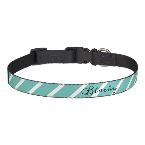 Simple Modern Turquoise White Stripe Script Name Pet Collar - Simple and modern turquoise and white stripe pattern dog collar with a dog`s name in black script - personalize the collar with your name.