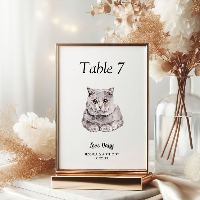 Simple Modern Watercolor Cat Wedding  Table Number (Creator Uploaded)