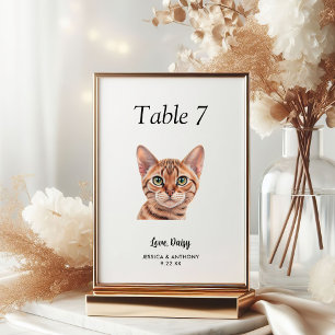 Simple Modern Watercolor Cat Wedding  Table Number