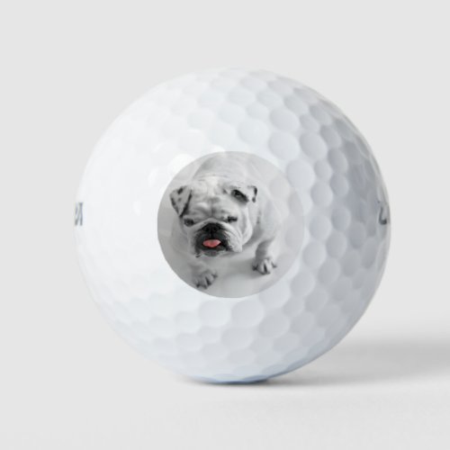 Simple Modern Your Dog Photo Marker Golf Balls