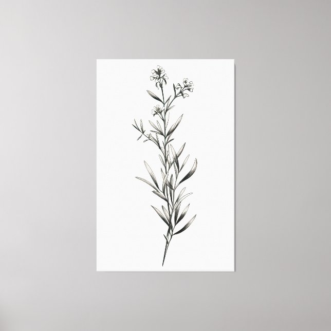 Simple Monochrome Rosemary Sketch Canvas Print (Front)