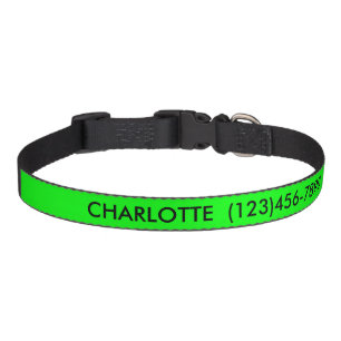 Simple neon green custom name contact Info modern Pet Collar