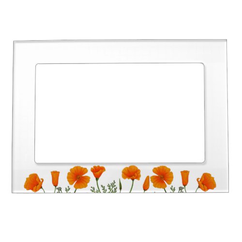 Simple Orange California Poppy Flowers Chic White Magnetic Frame