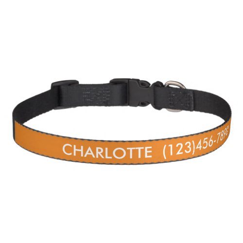 Simple orange custom name contact Info modern Pet Collar