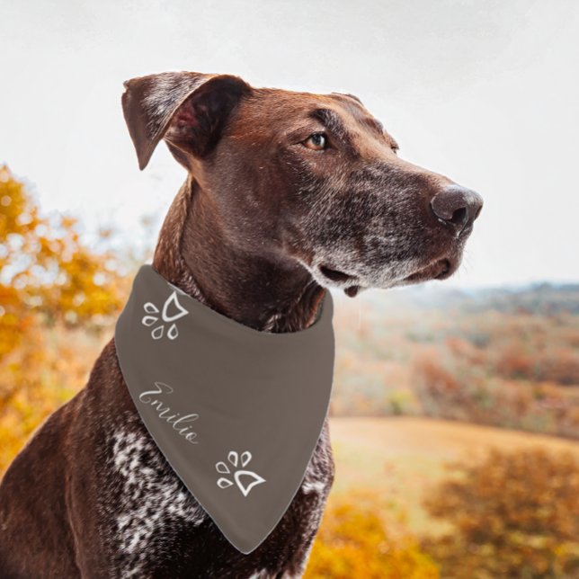 Simple Paw Geometric Brown Pet Bandana (Creator Uploaded)
