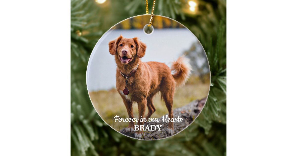 Simple Personalized 2 Photo Sympathy Pet Memorial Ceramic Ornament | Zazzle