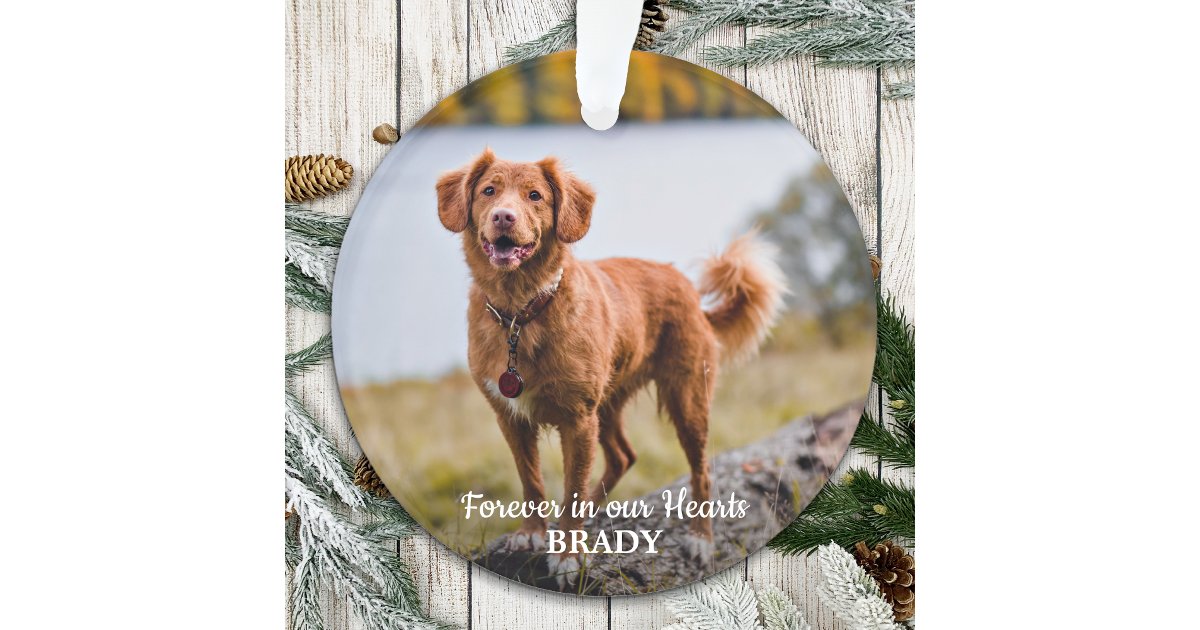 Simple Personalized 2 Photo Sympathy Pet Memorial Ornament | Zazzle