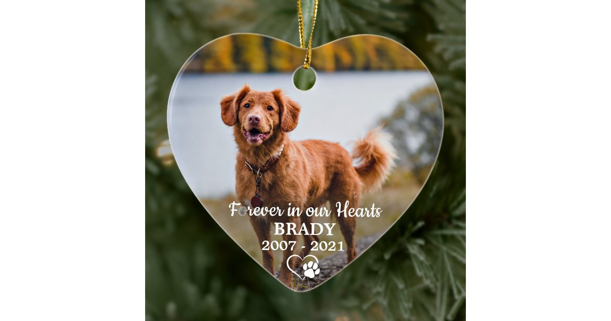 Simple Personalized Photo Sympathy Pet Memorial Ceramic Ornament | Zazzle