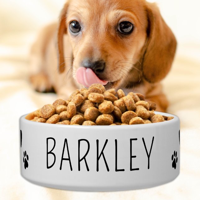 Simple Pet Dog Personalized Food Water Ceramic Bowl (Creator Uploaded)