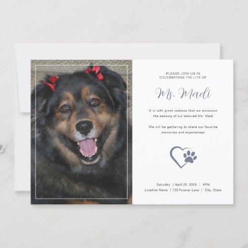 Simple Pet Memorial Photo Celebration Invitation