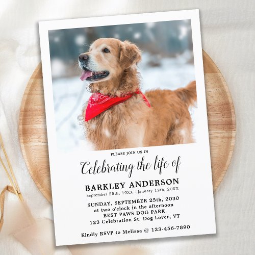 Simple Pet Memorial Photo Celebration Of Life Invitation