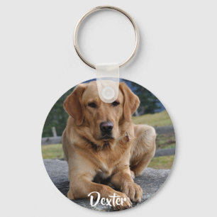 Simple Pet One Photo Name Keepsake Keychain