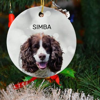 Simple Pet Photo and Name Ceramic Ornament