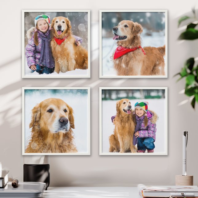 Simple Pet Photo Custom Gallery Wall Peel & Stick  Peel And Stick Photo Tile (Creator Uploaded)