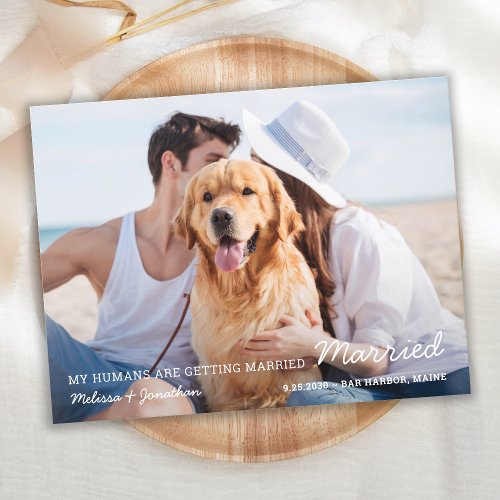 Simple Pet Wedding Dog Save The Date  Announcement Postcard