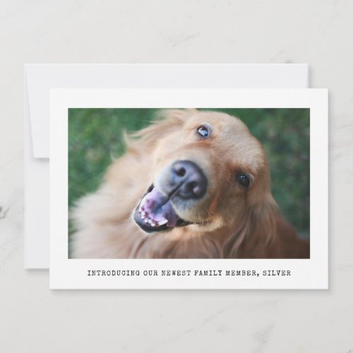 Simple Photo Senior Dog Pet Adoption Announcement