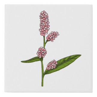 Simple Pink Flower Print