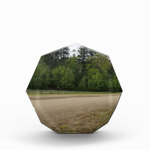 Simple Places Acrylic Award