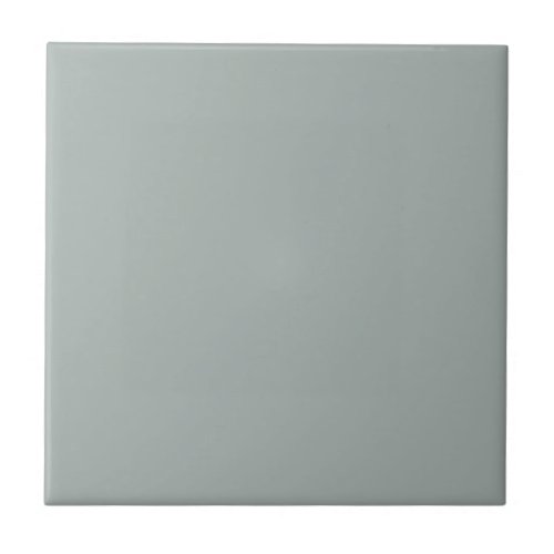 Simple Plain Sage Gray Green Solid Color Tile