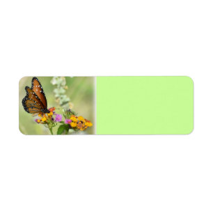 Simple Pleasures Label