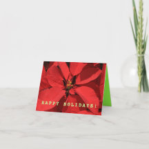 Simple Poinsettia Christmas  