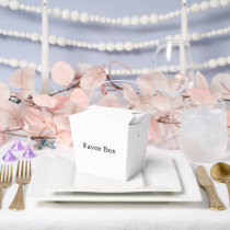 Simple Professional Medium Take Out 3"x2.25"x3.12" Favor Boxes