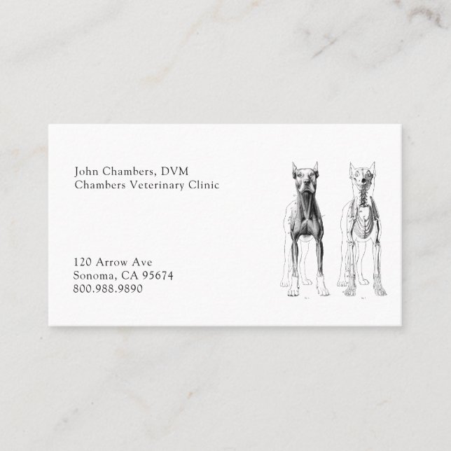 Simple Professional Veterinarian Medical Business Card (Front)