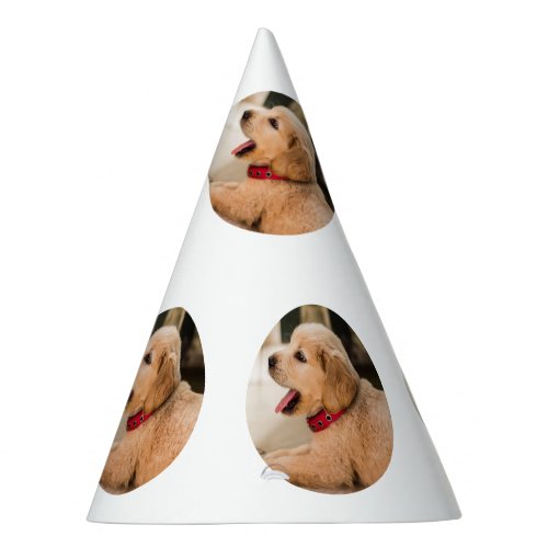 Simple puppie pattern birthday party party hat